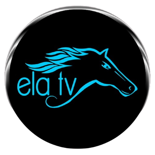 image-removebg-preview (7)